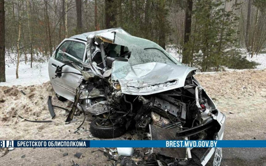 photo_2026-02-13_13-27-53 (2).jpg