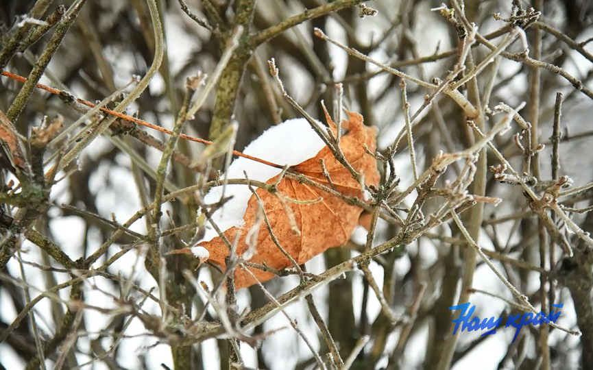 pogoda-yanvar-zima_5351 (10).JPG