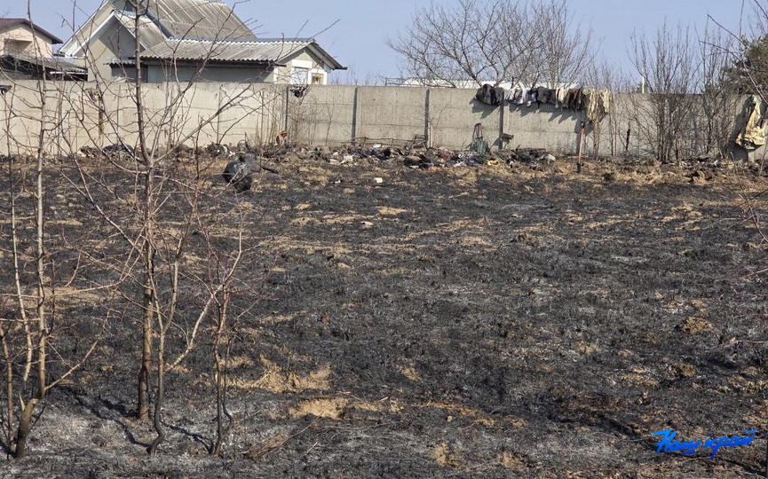 photo_2026-03-26_10-51-07 (2).jpg