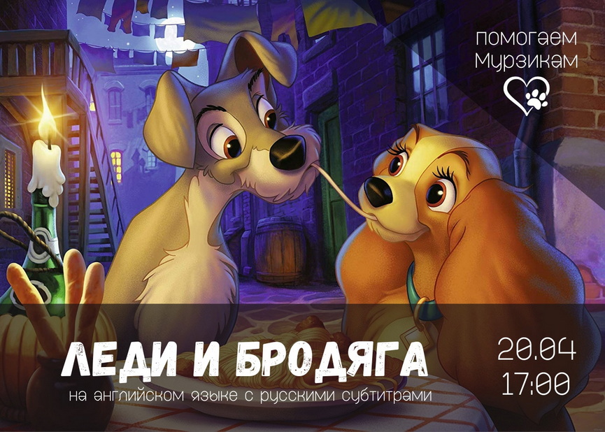 2podrobnosti-masshtabnogo-proekta-pomoshchi-bezdomnym-zhivotnym.jpg