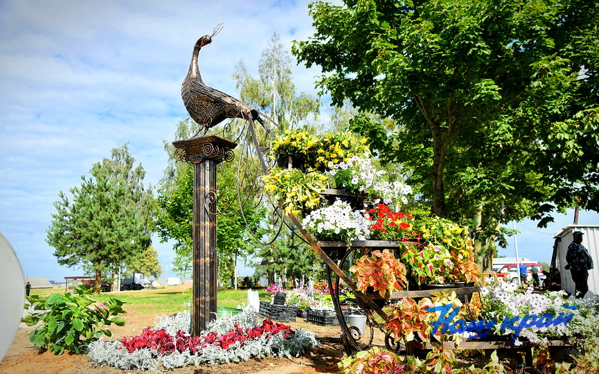 zhemcy (2).jpg