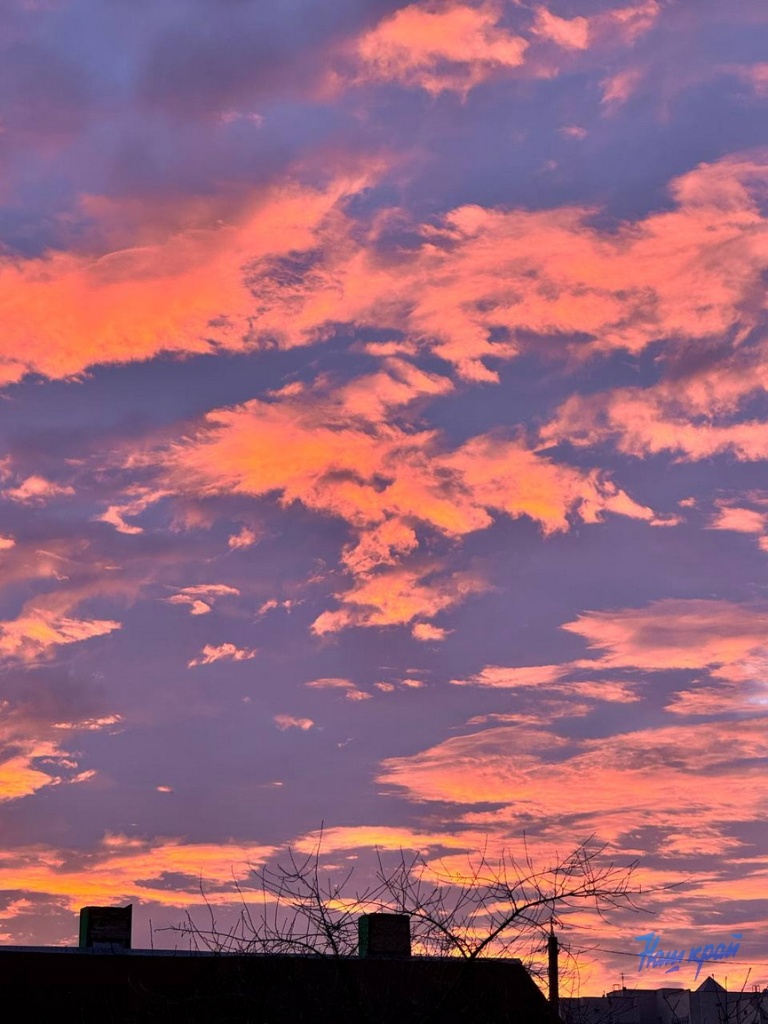 photo_2025-11-06_17-46-24.jpg photo_2025-11-06_17-46-24.jpg