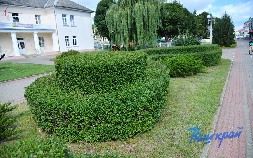 tsvety-_0171 (20).JPG