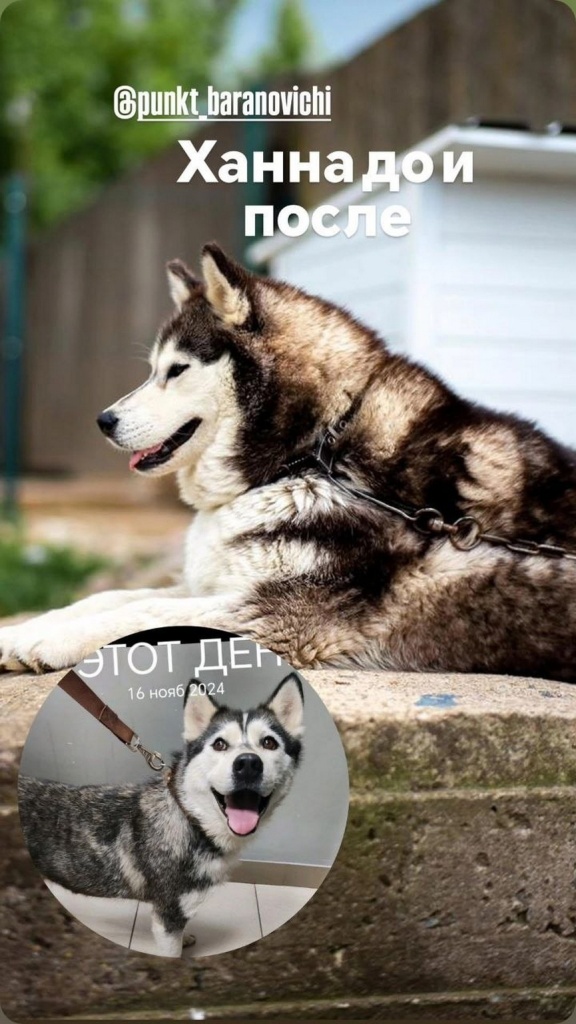 hanna.jpg hanna.jpg