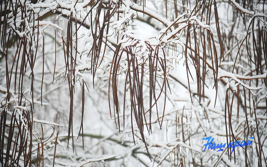 zima-28-01_0023 (8).JPG