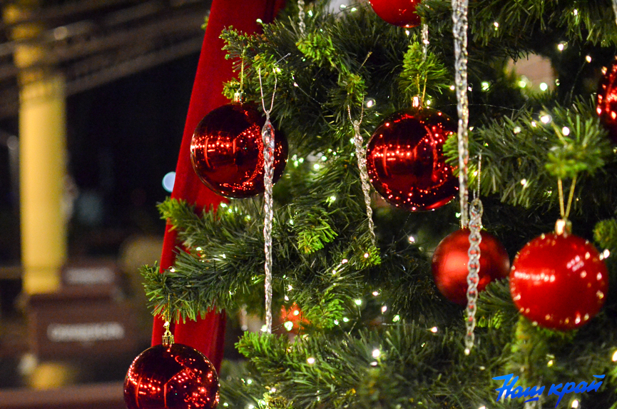 ng-novyj-god_0110 (9).jpg