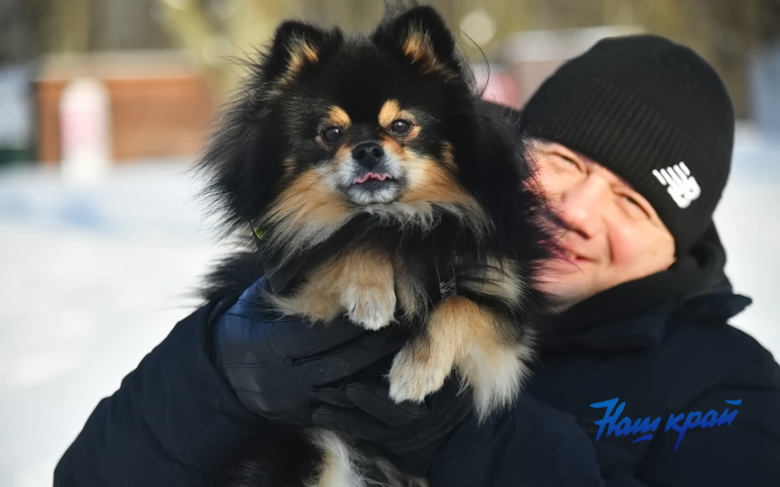 krezhshenie0037 (16).JPG