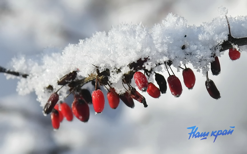 pogoda-19-01 (7).JPG