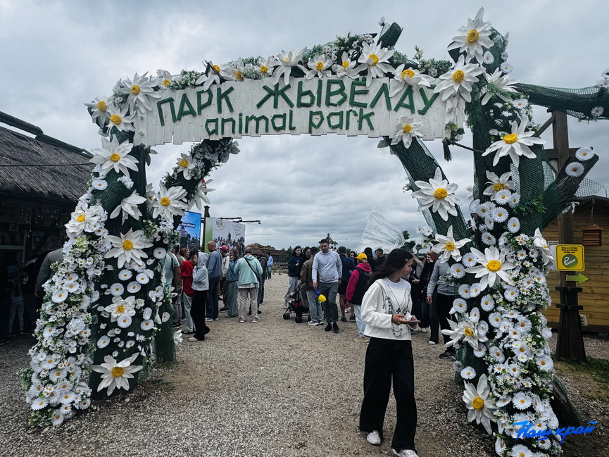 festival-(2).jpeg