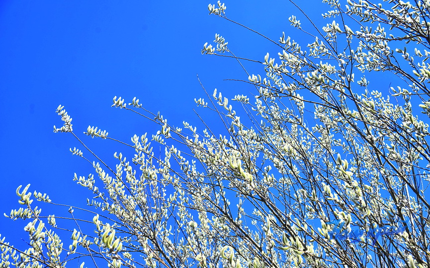 pogoda-vesna-_3397 (5).JPG