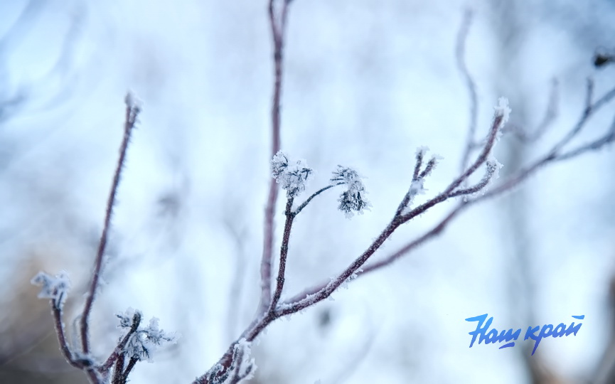 pogoda-zima-18-01 (14).JPG