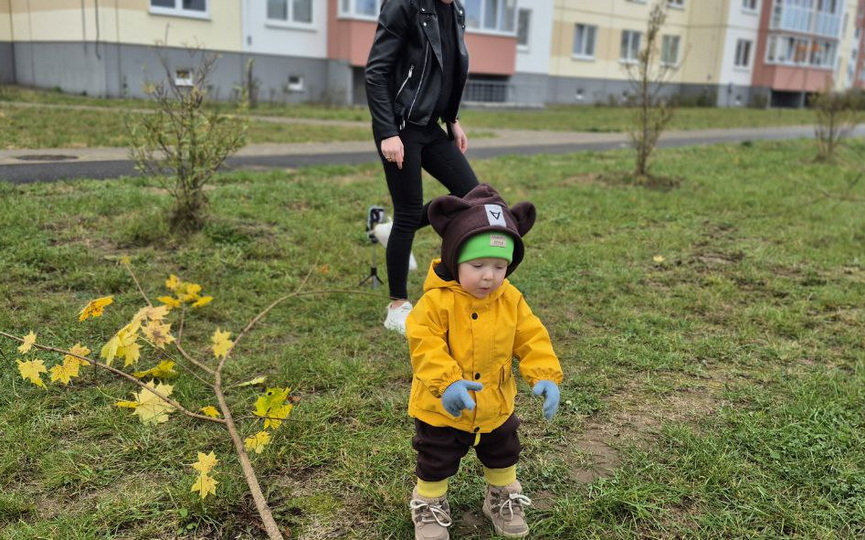 IMG_6029.jpeg IMG_6029.jpeg