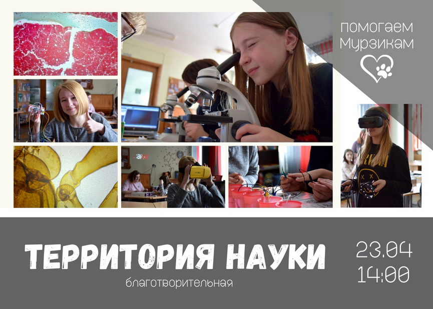 6podrobnosti-masshtabnogo-proekta-pomoshchi-bezdomnym-zhivotnym.jpg