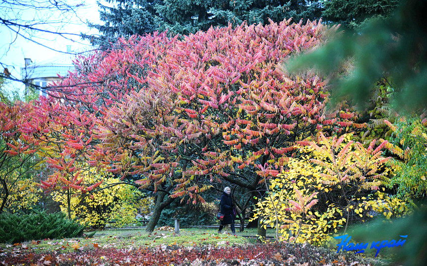 osen-pogoda_0004 (5).JPG