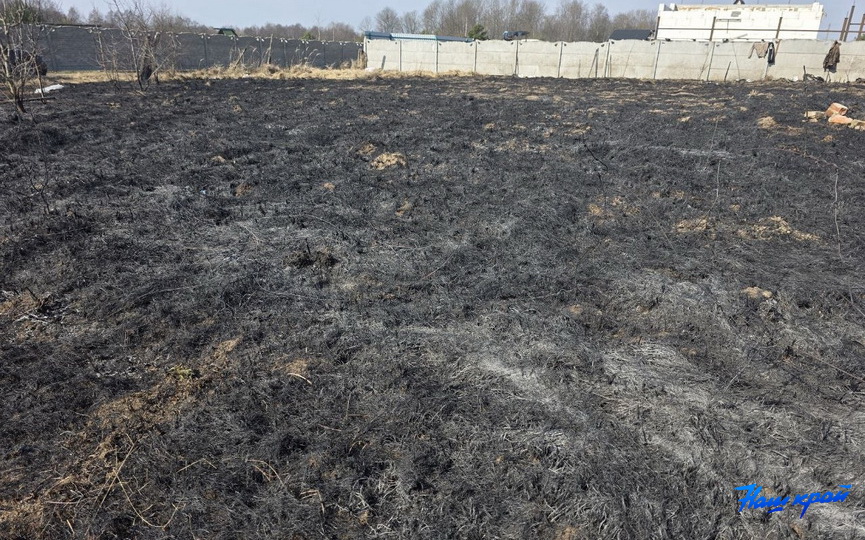 photo_2026-03-26_10-51-07 (9).jpg