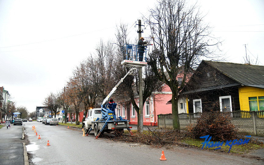 derevjya-obrezka (11).JPG