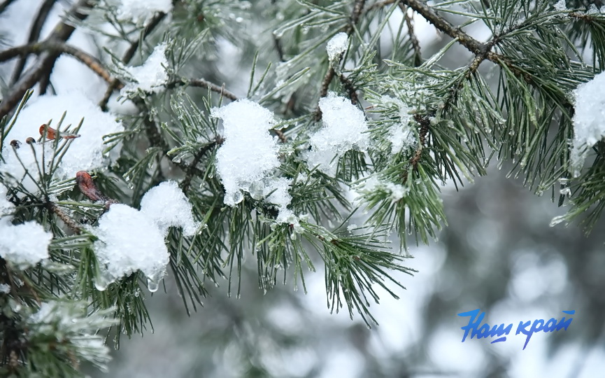 zima-pogoda-_6027 (2).JPG