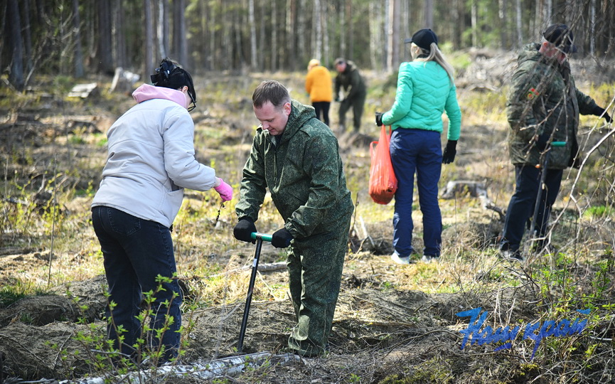 subbotnik-_3748 (3).JPG