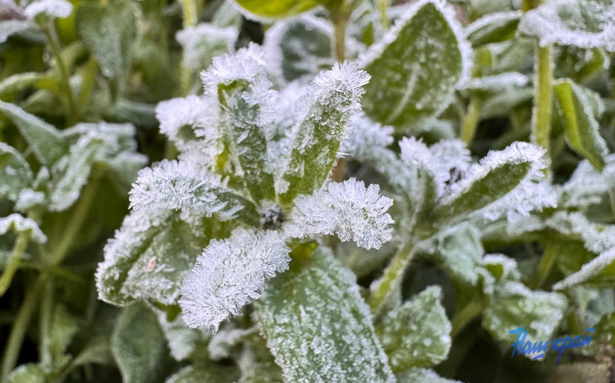 photo_zamorozki-2.jpg photo_zamorozki-2.jpg