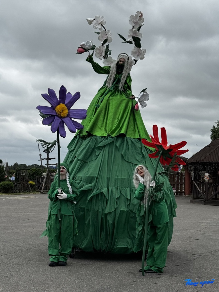 festival-(12).jpeg festival-(12).jpeg