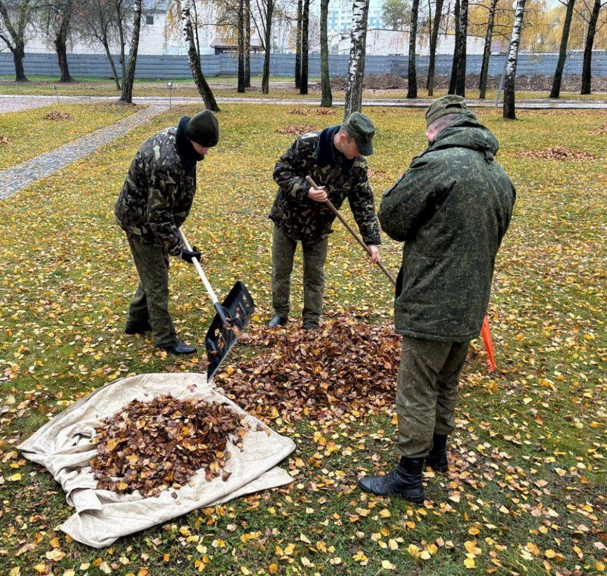 IMG_6546_новый размер.jpeg