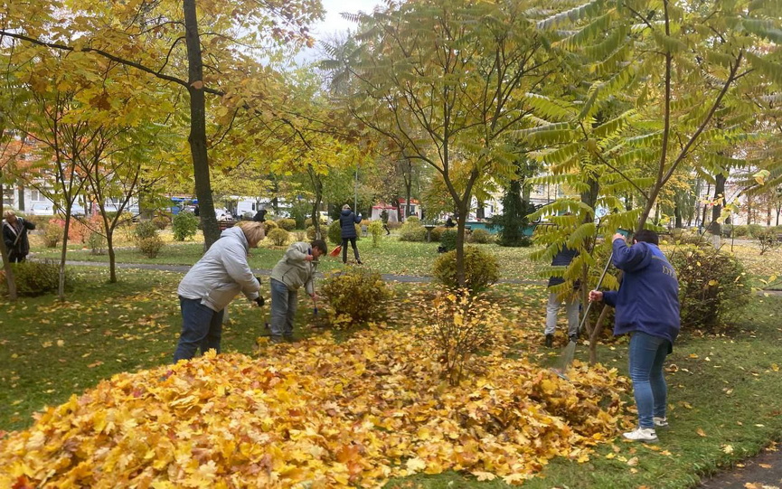 photo_2025-10-29_16-46-50-(2).jpg photo_2025-10-29_16-46-50-(2).jpg