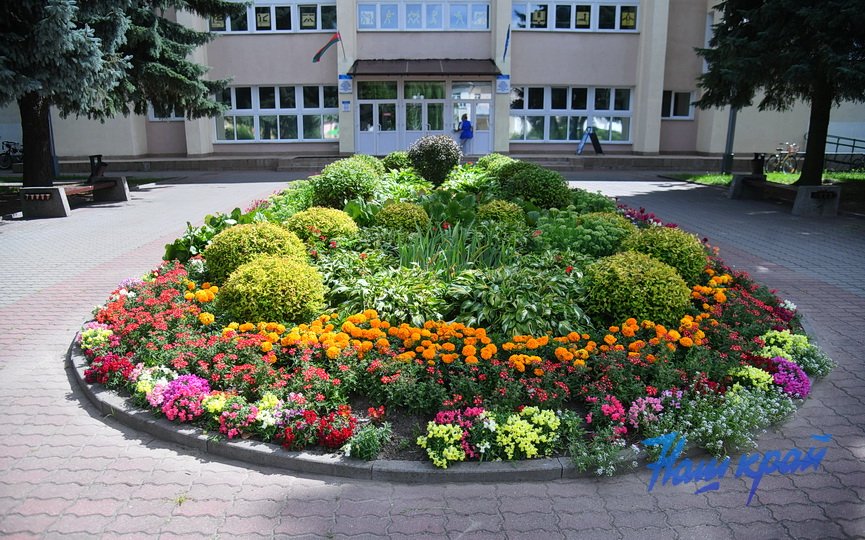 tsvety-_0171 (22).JPG