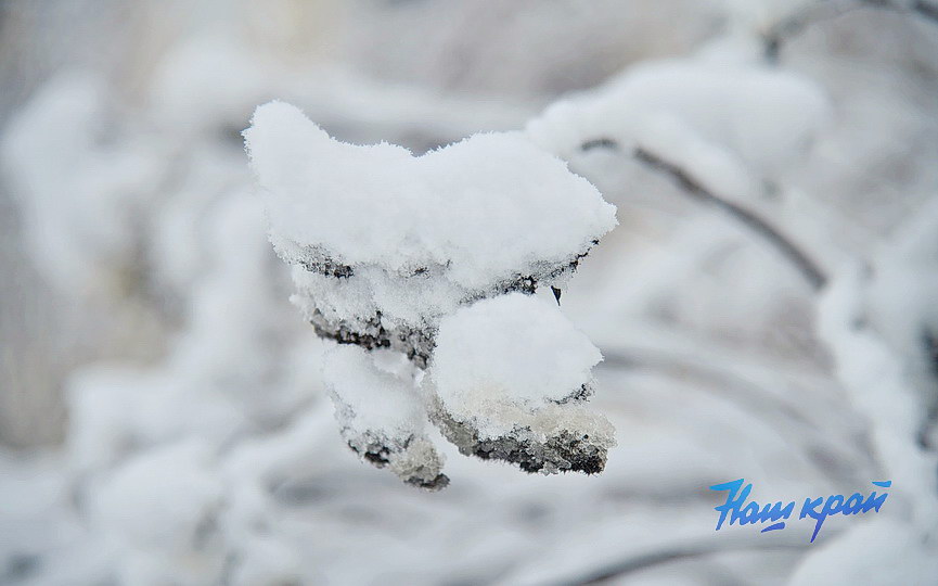 zima-28-01_0023 (6).JPG