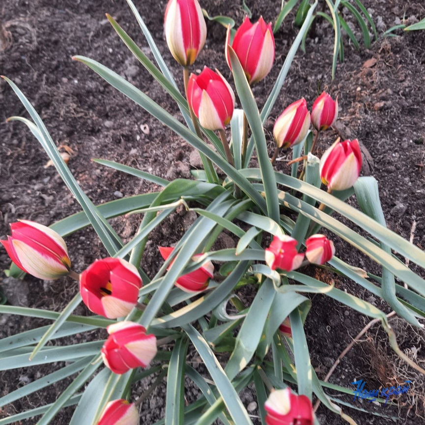 photo_2026-04-15_22-39-43 (2).jpg photo_2026-04-15_22-39-43 (2).jpg