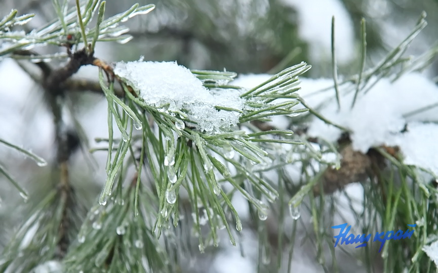 zima-pogoda-_6027 (3).JPG