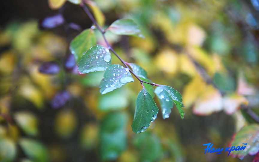 osen-pogoda_0004 (10).JPG