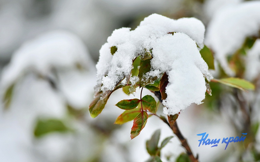 zima-28-01_0023 (14).JPG