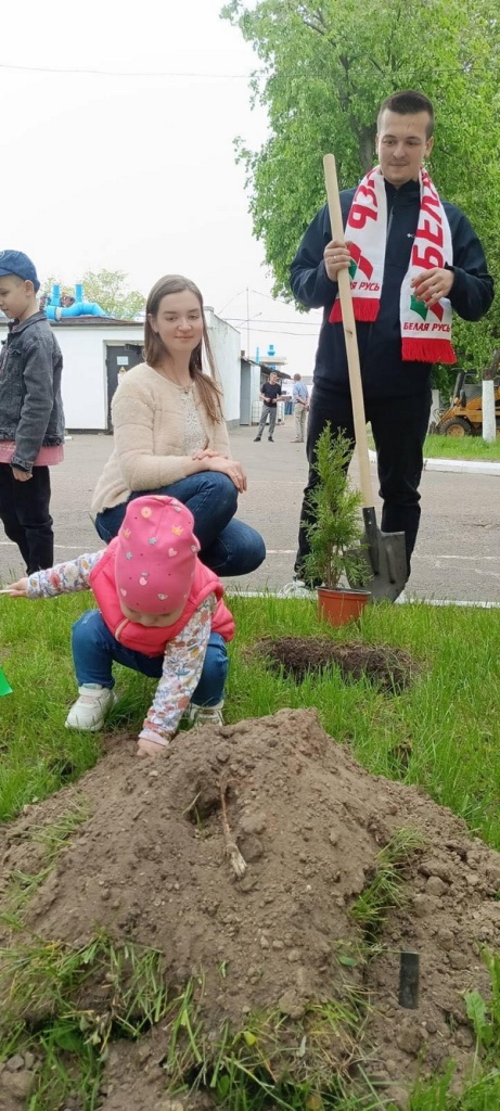 alleyu-semejnykh-derevev-zalozhili_10.jpg