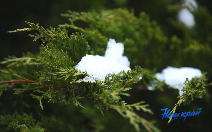 osen2-2026-noyabr (2).JPG