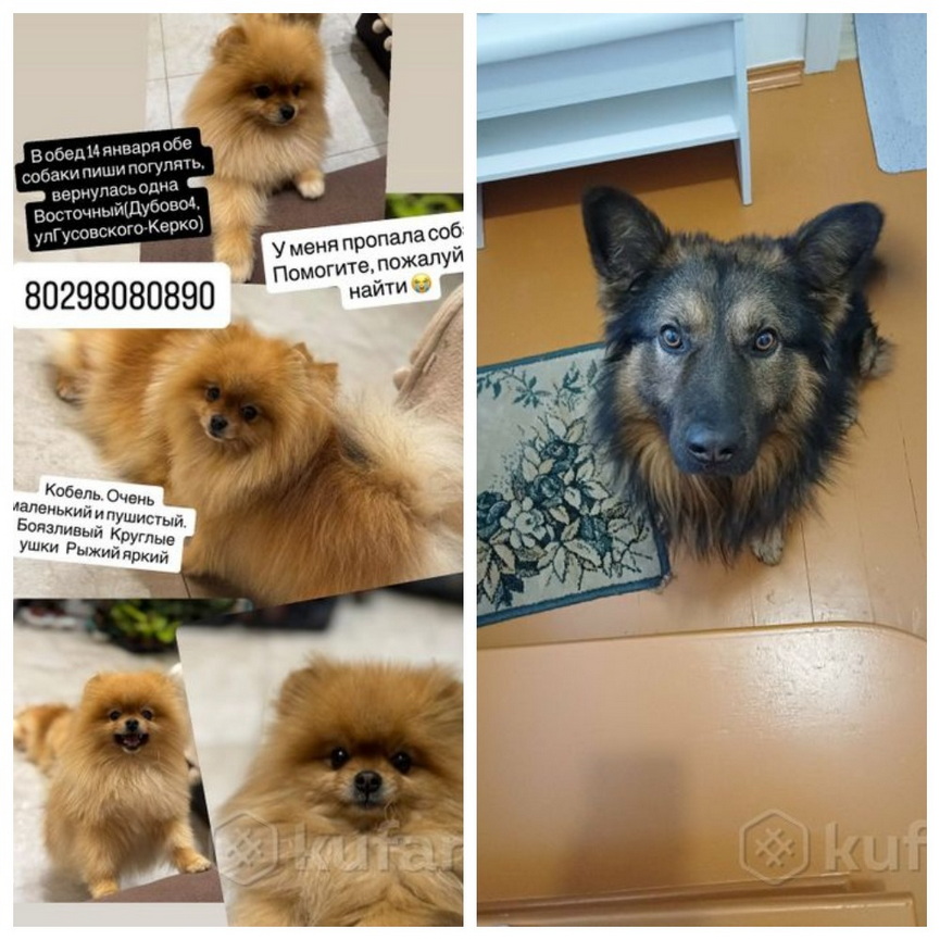 MyCollages (4).jpg MyCollages (4).jpg