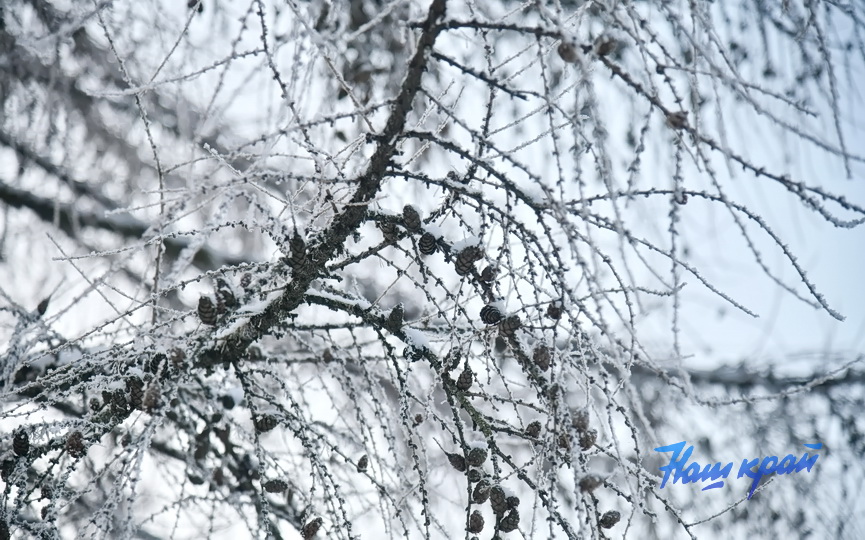 pogoda-zima-18-01 (8).JPG