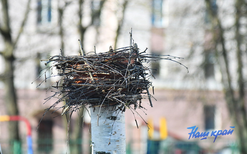 pogoda-mart- (5).JPG