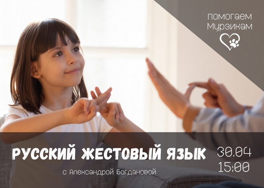 7podrobnosti-masshtabnogo-proekta-pomoshchi-bezdomnym-zhivotnym.jpg