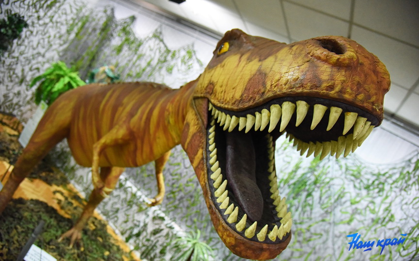Выставка динозавров колизей. Выставка динозавров в музее. Музей динозавров арт. Выставка динозавров в Кишиневе. Динозавр лес музей.